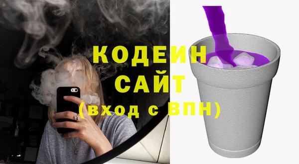 ГАЛЛЮЦИНОГЕННЫЕ ГРИБЫ Аркадак