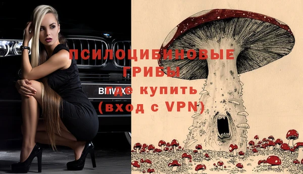 ГАЛЛЮЦИНОГЕННЫЕ ГРИБЫ Аркадак