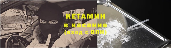 ГАЛЛЮЦИНОГЕННЫЕ ГРИБЫ Аркадак
