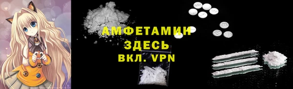 ГАЛЛЮЦИНОГЕННЫЕ ГРИБЫ Аркадак