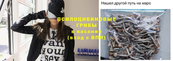 гашик Армянск